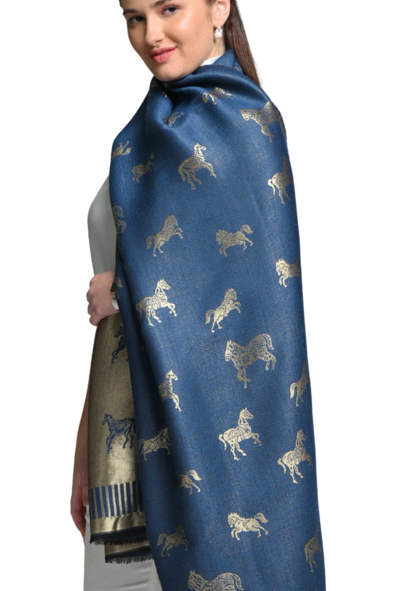 Resham Heritage Stole – Women's Zari Stoles – View 5 | Taroob