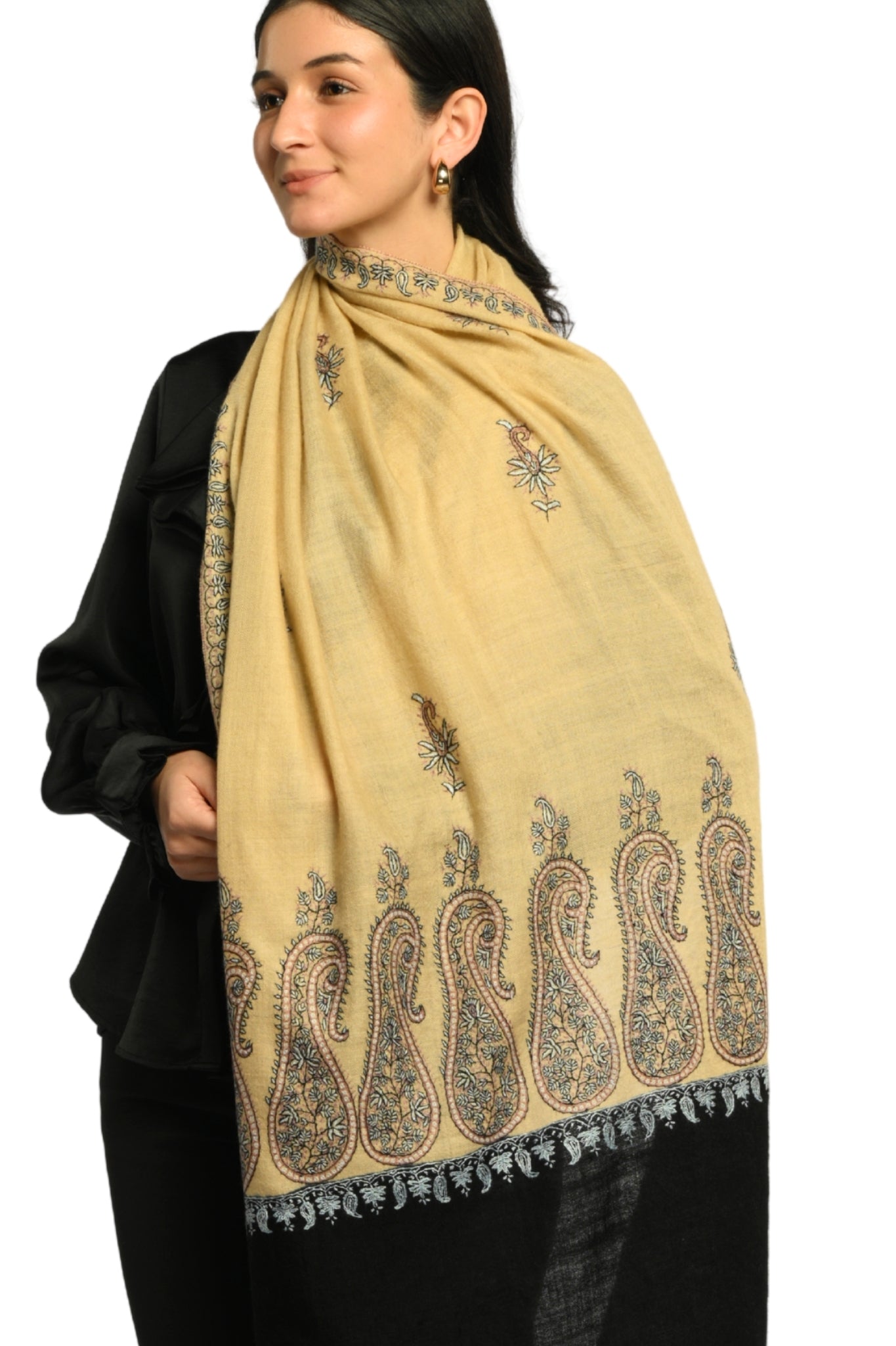 Beige Embroidered Pashmina Stole Taroob
