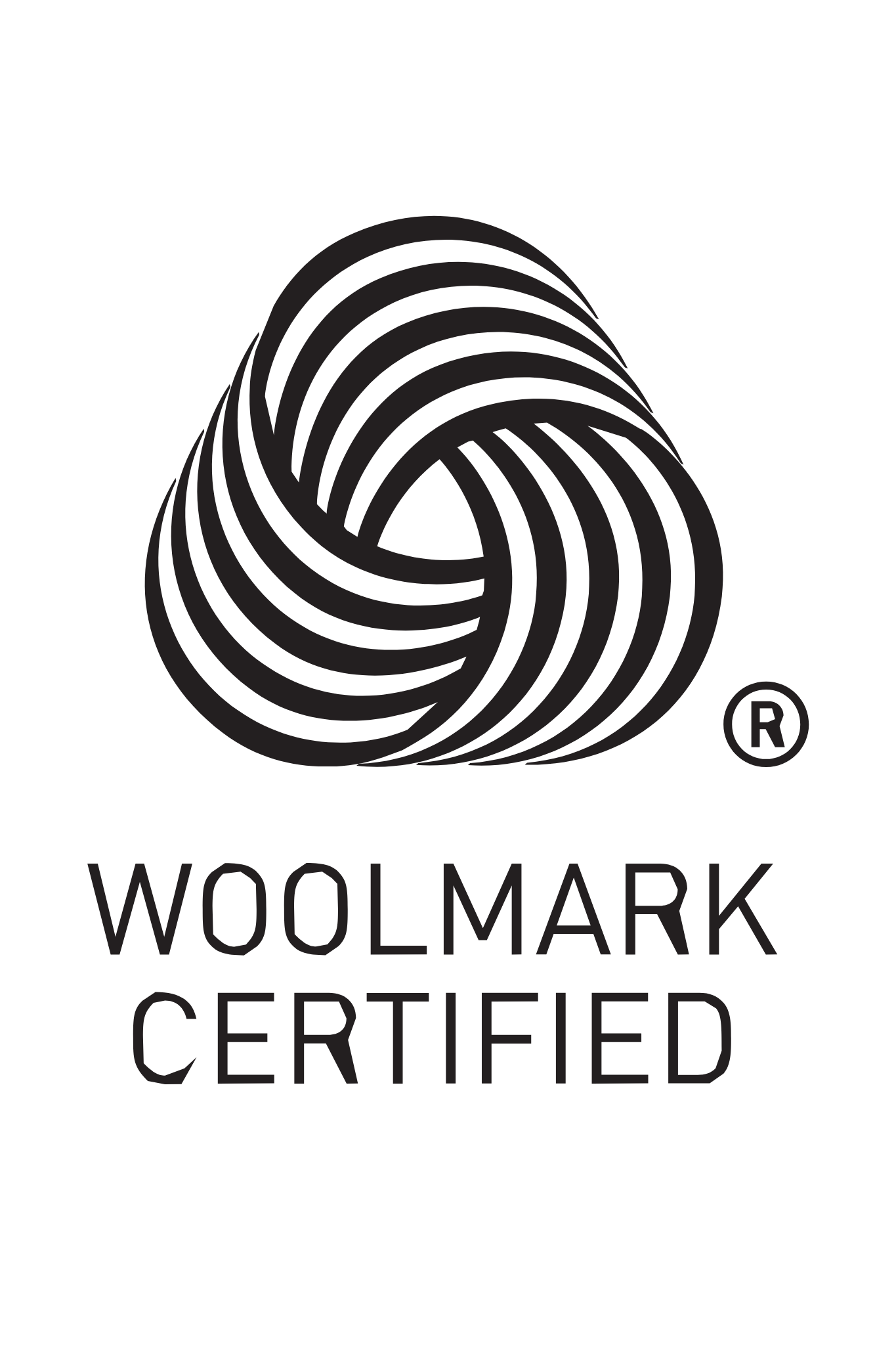 Taroob Gift Set of  Embellished Wool Silk Stole for Her